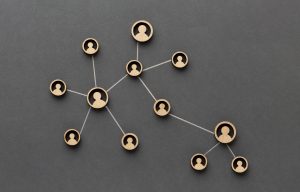 Análisis de la estructura societaria de la empresa